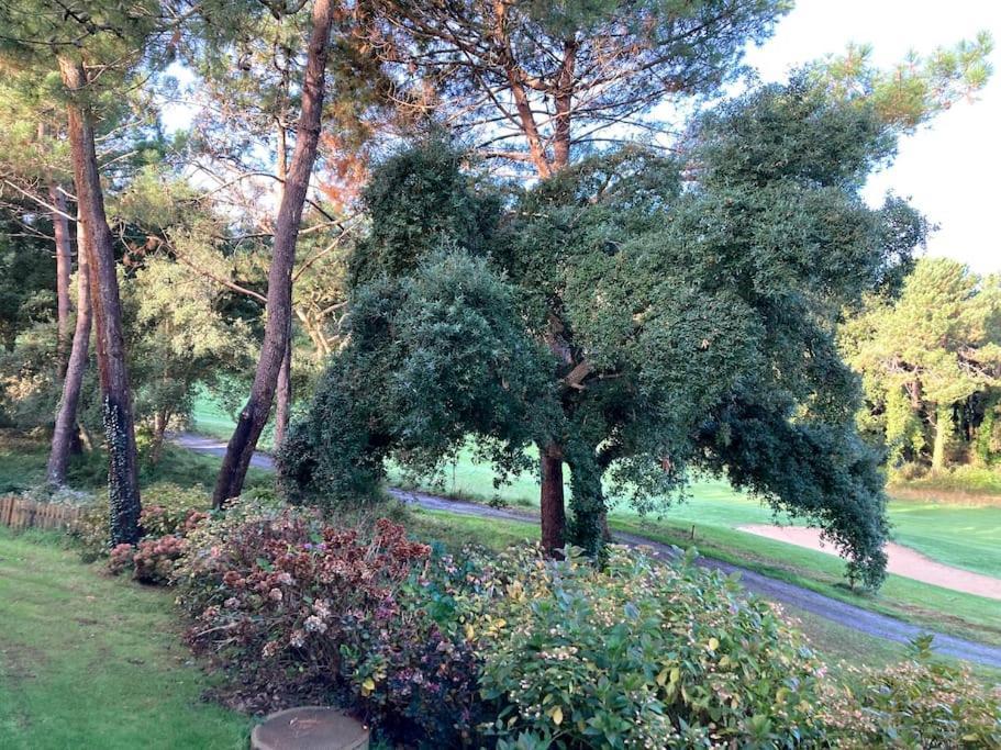 Vue Golf Dans Residence Nature "Sympalappart" Moliets-et-Maa Eksteriør bilde