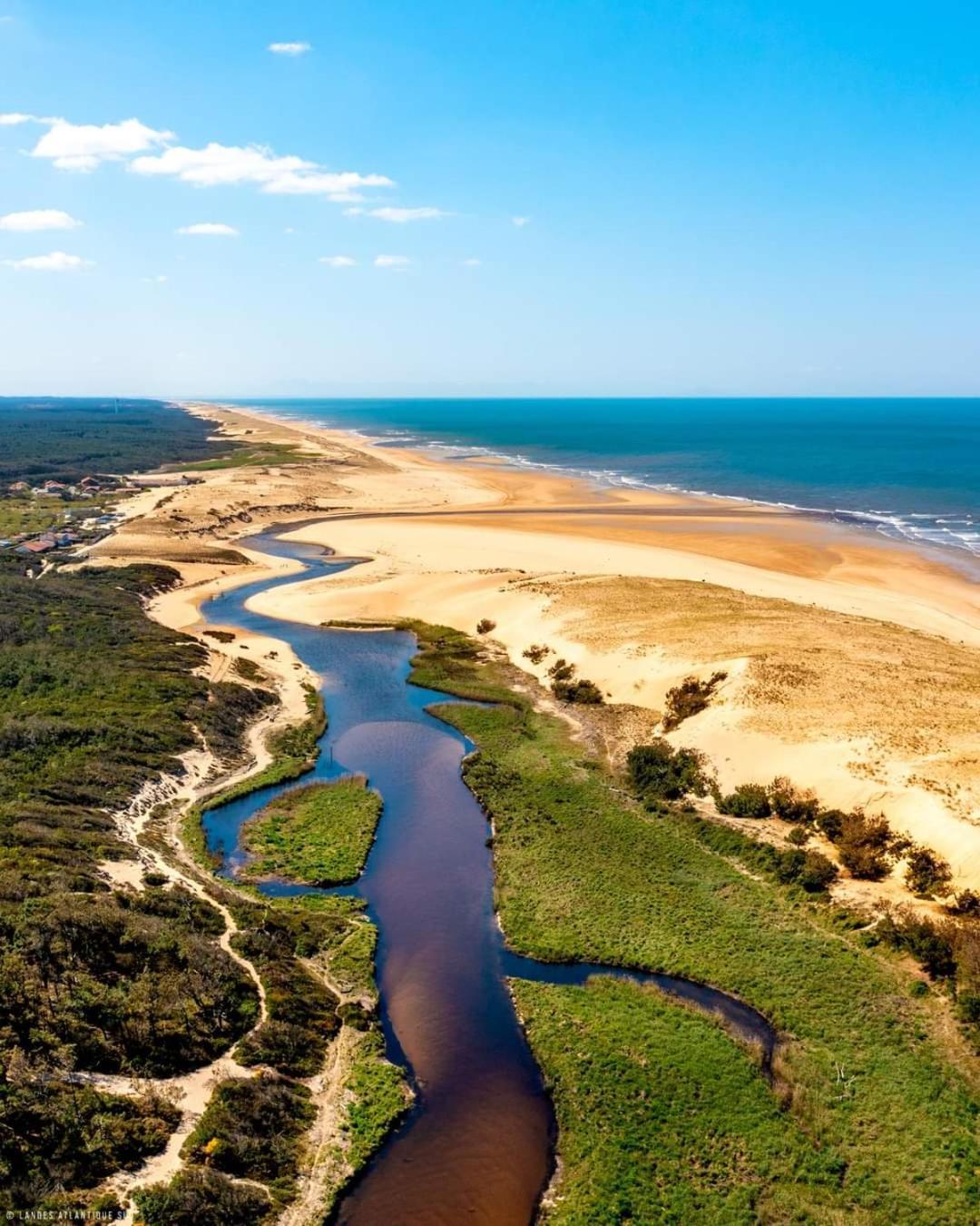 Vue Golf Dans Residence Nature "Sympalappart" Moliets-et-Maa Rom bilde